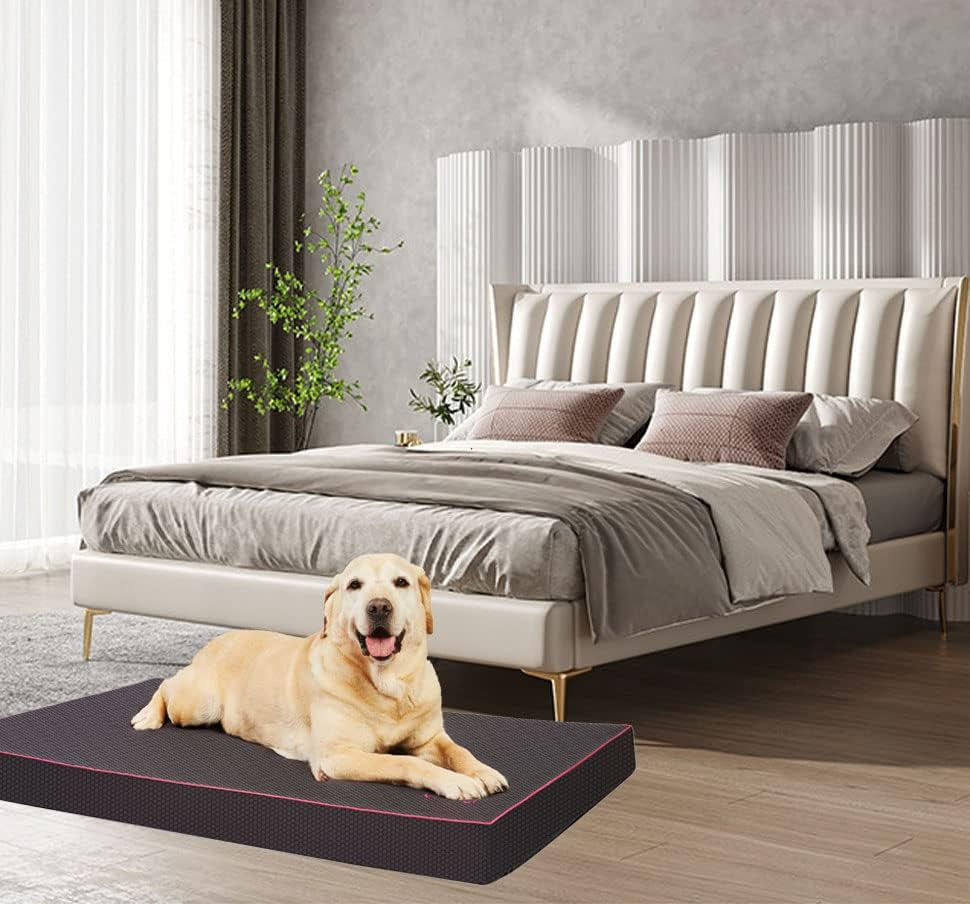 Comfort & Care Orthopedic Memory Foam Dog Bed for Medium Dogs - Waterproof & Easy-Clean Cover