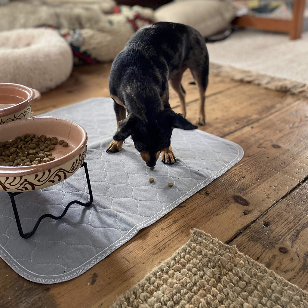 Premium Reusable Dog Pee Pads - Waterproof, 300 Wash Guarantee, 22" x 22" (Pack of 4) for Potty Training & Whelping