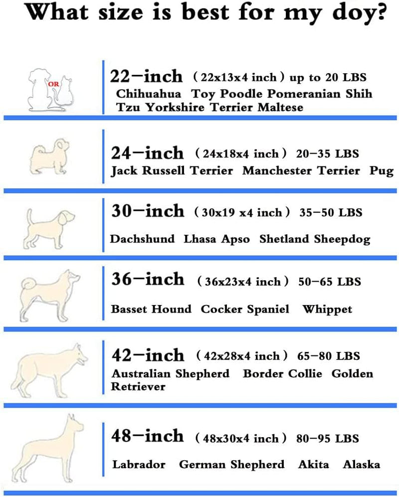 Comfort & Care Orthopedic Memory Foam Dog Bed for Medium Dogs - Waterproof & Easy-Clean Cover