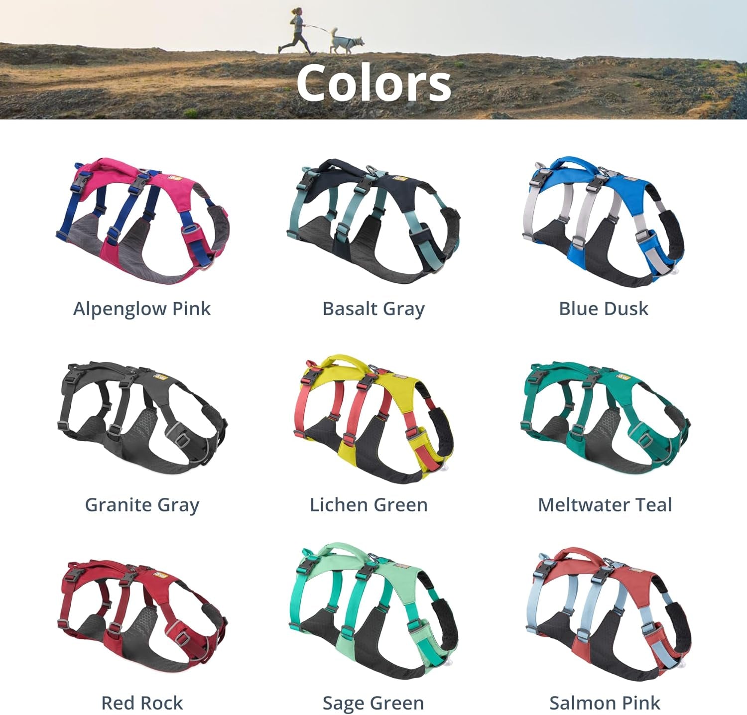 Meltwater Teal Reflective No Pull Dog Harness - Comfortable Padded Design with Handle, Medium Size