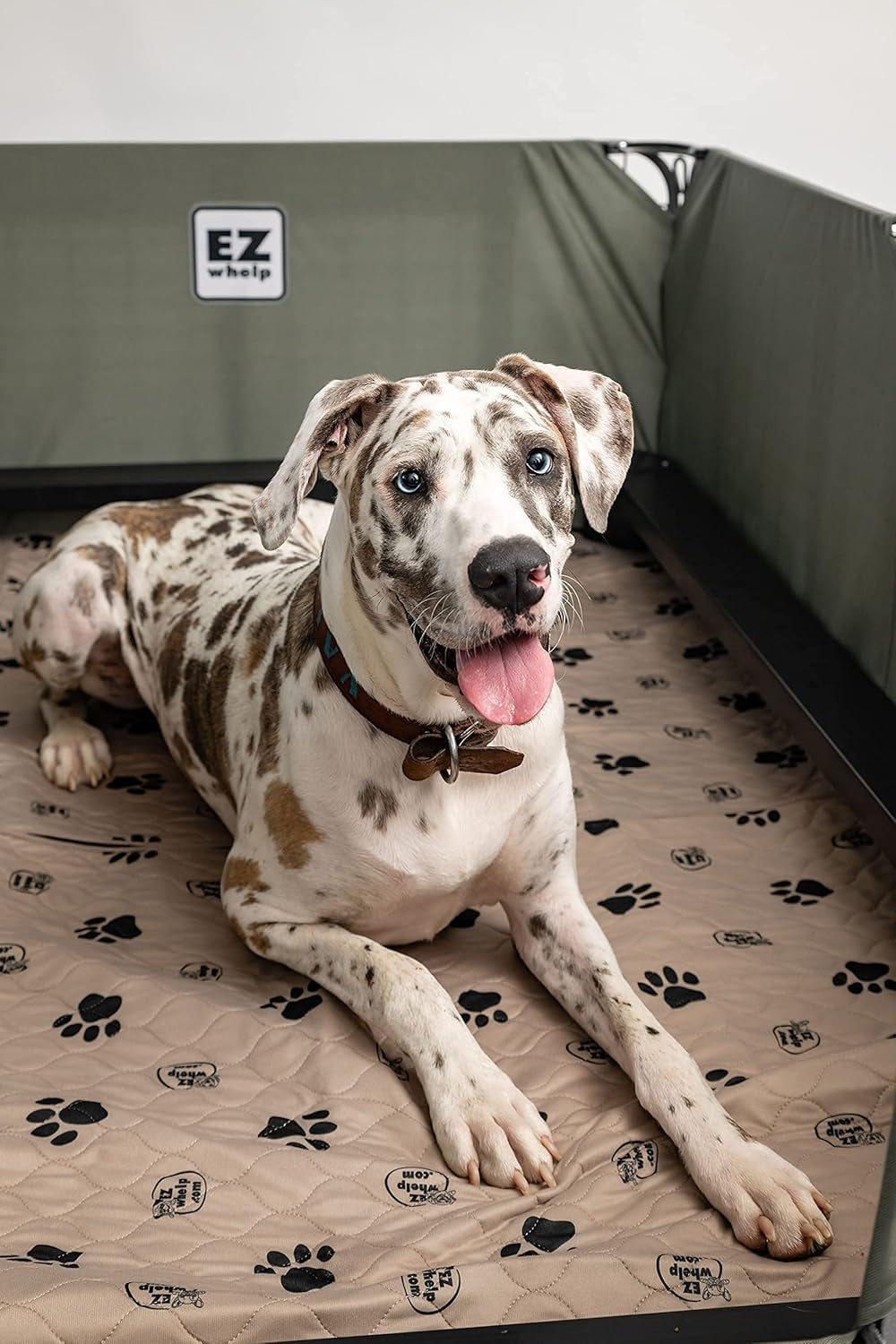 Premium 2-Pack Reusable Waterproof Dog Pee Pads - 36x48 Inch Potty Training Mats with Rounded Corners