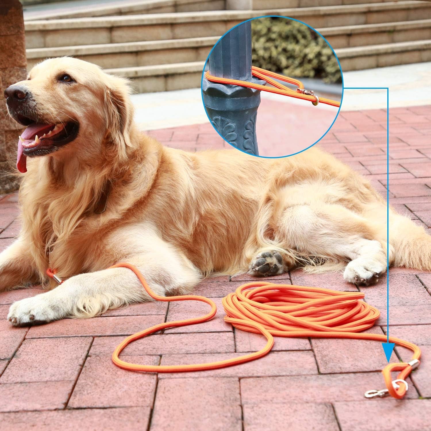 15Ft Durable Blue Check Cord - Ideal Training Leash for Dogs & Puppies - Perfect for Obedience and Agility Training