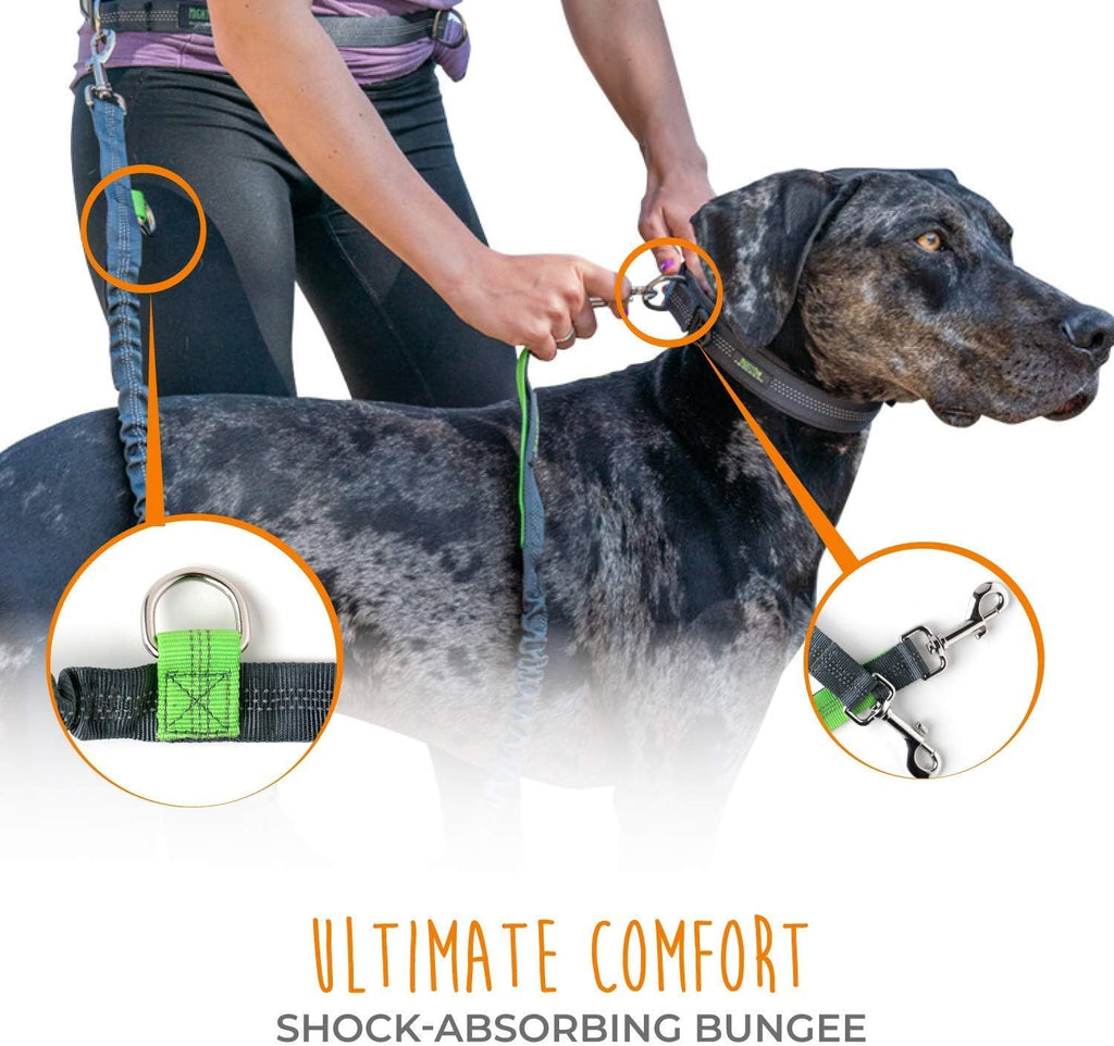Ultimate Hands-Free Bungee Dog Leash with Adjustable Waist Belt - Ideal for Running & Walking All Breeds (36" - 48", Supports Up to 150 lbs) in Stylish Gray