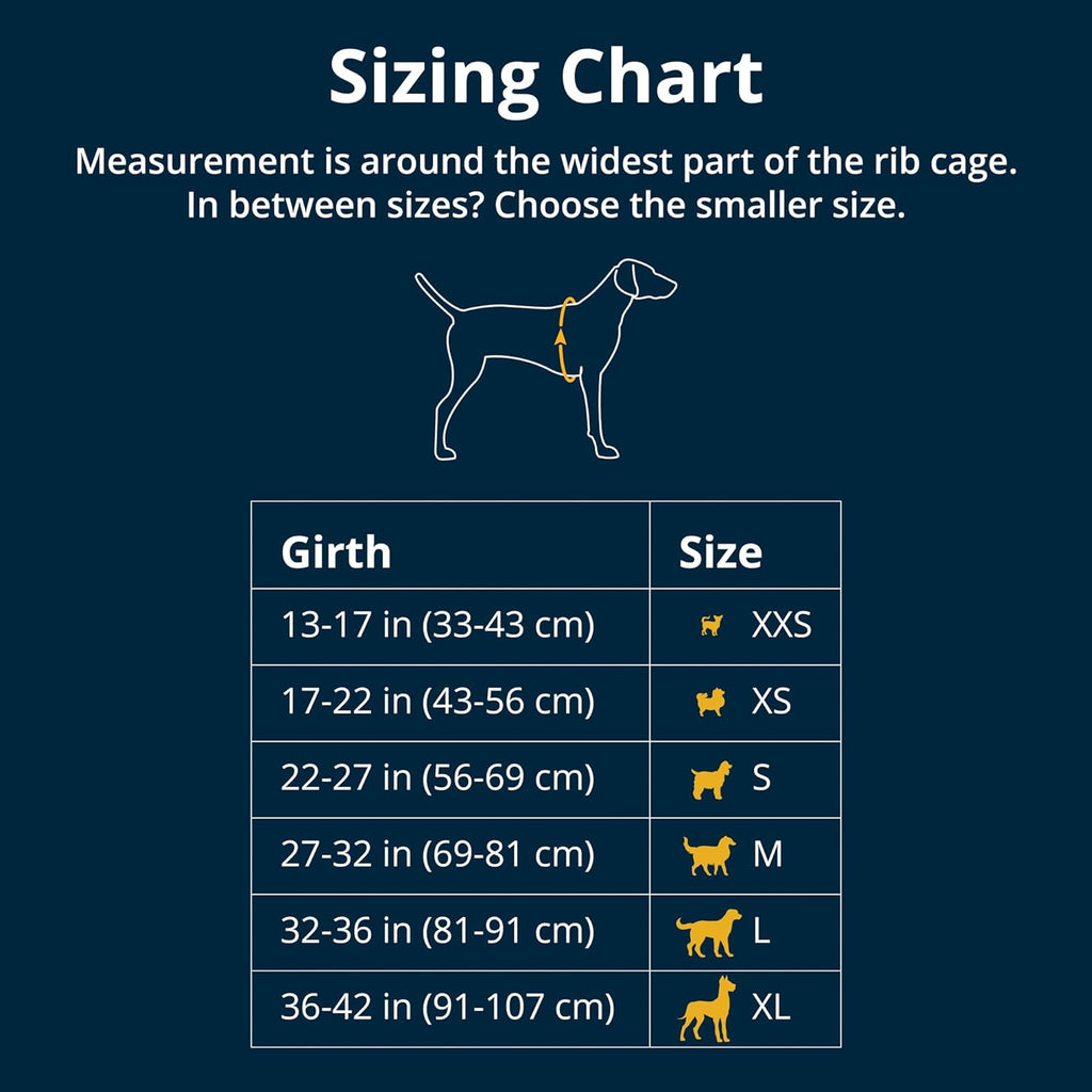 Meltwater Teal Reflective No Pull Dog Harness - Comfortable Padded Design with Handle, Medium Size