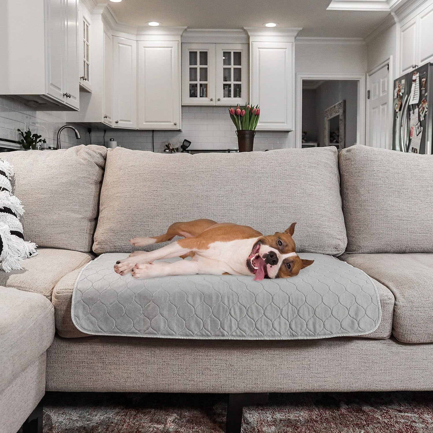 Premium Reusable Dog Pee Pads - Waterproof, 300 Wash Guarantee, 22" x 22" (Pack of 4) for Potty Training & Whelping