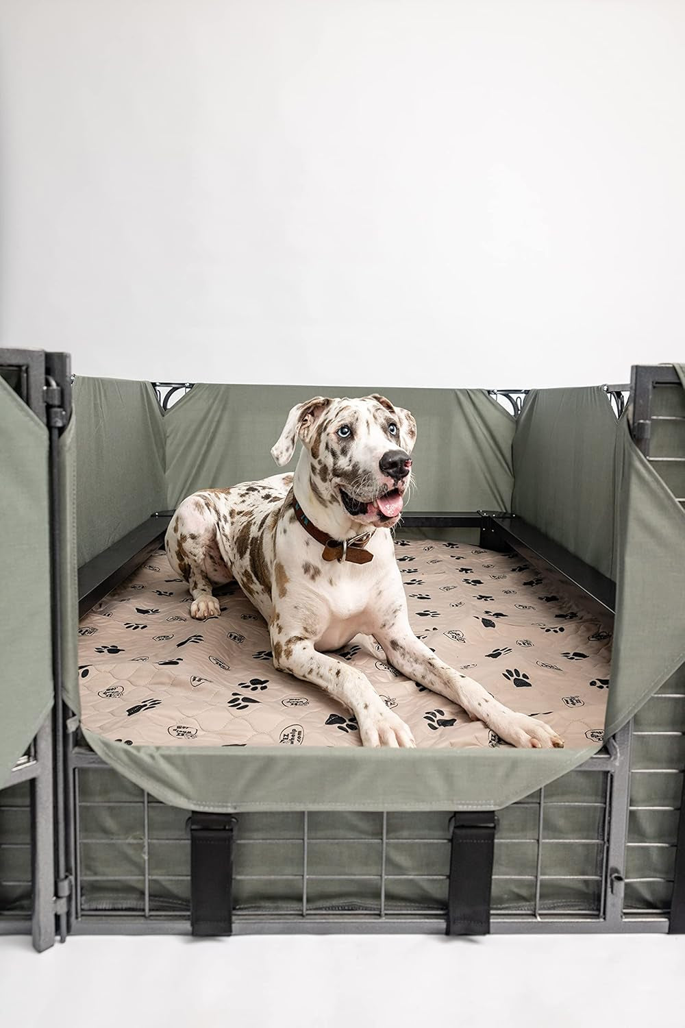 Premium 2-Pack Reusable Waterproof Dog Pee Pads - 36x48 Inch Potty Training Mats with Rounded Corners