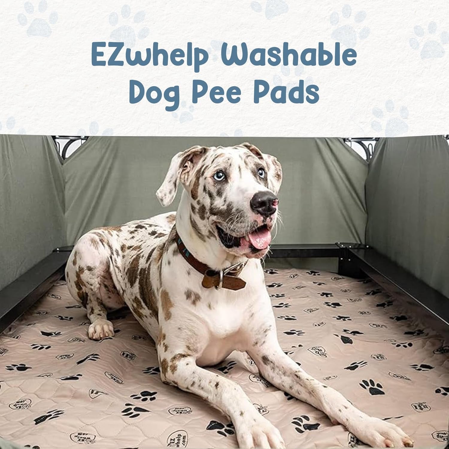 Premium 2-Pack Reusable Waterproof Dog Pee Pads - 36x48 Inch Potty Training Mats with Rounded Corners