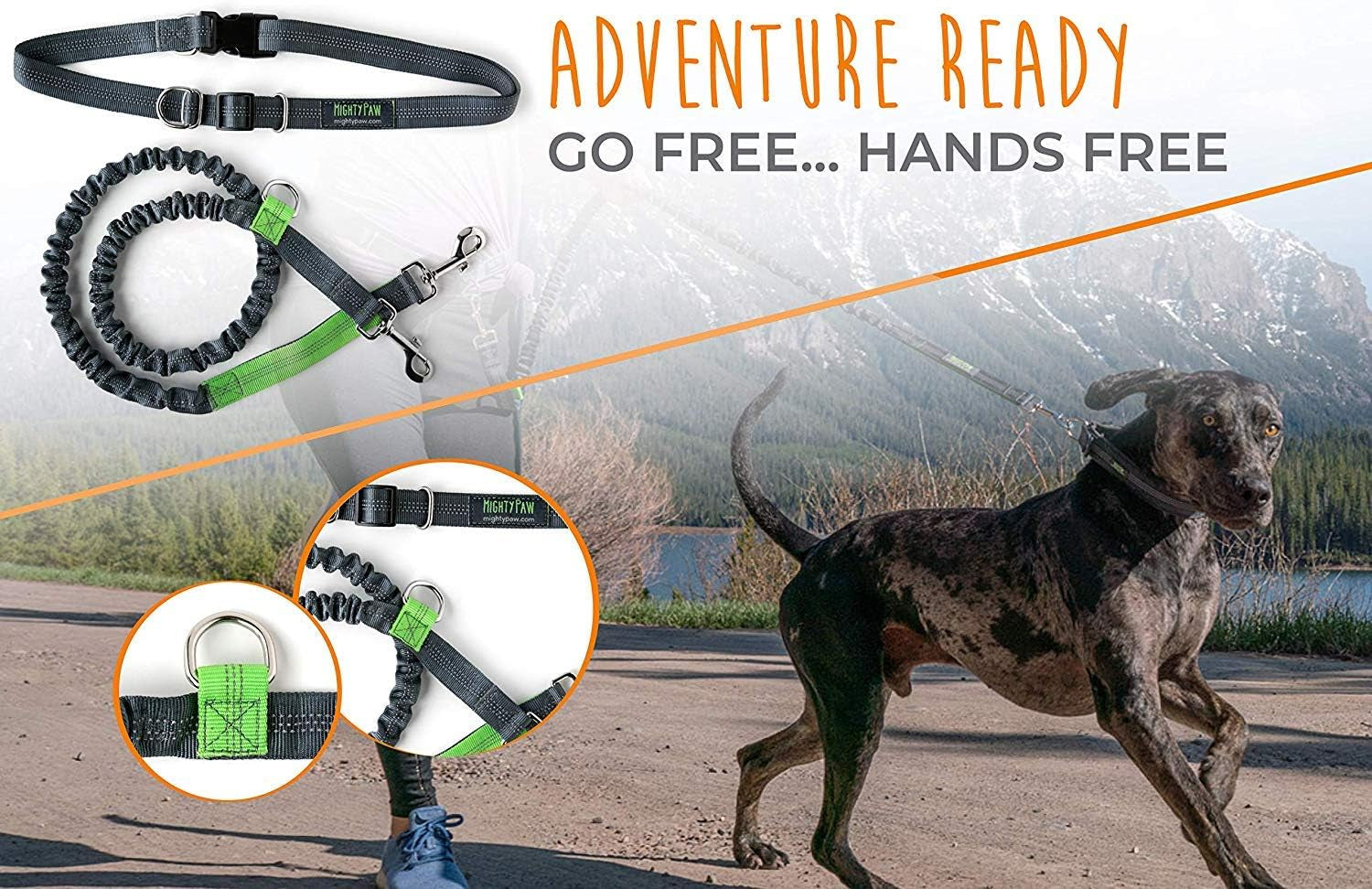 Ultimate Hands-Free Bungee Dog Leash with Adjustable Waist Belt - Ideal for Running & Walking All Breeds (36" - 48", Supports Up to 150 lbs) in Stylish Gray
