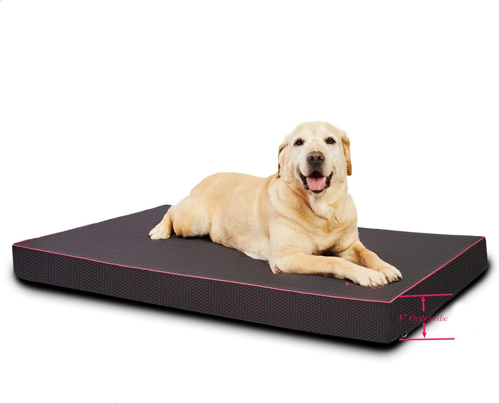 Comfort & Care Orthopedic Memory Foam Dog Bed for Medium Dogs - Waterproof & Easy-Clean Cover